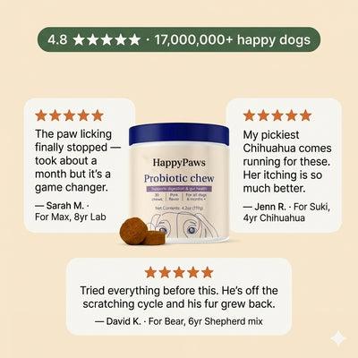 Happy Paws Probiotics for Dogs โ Soft Chews for Gut Health