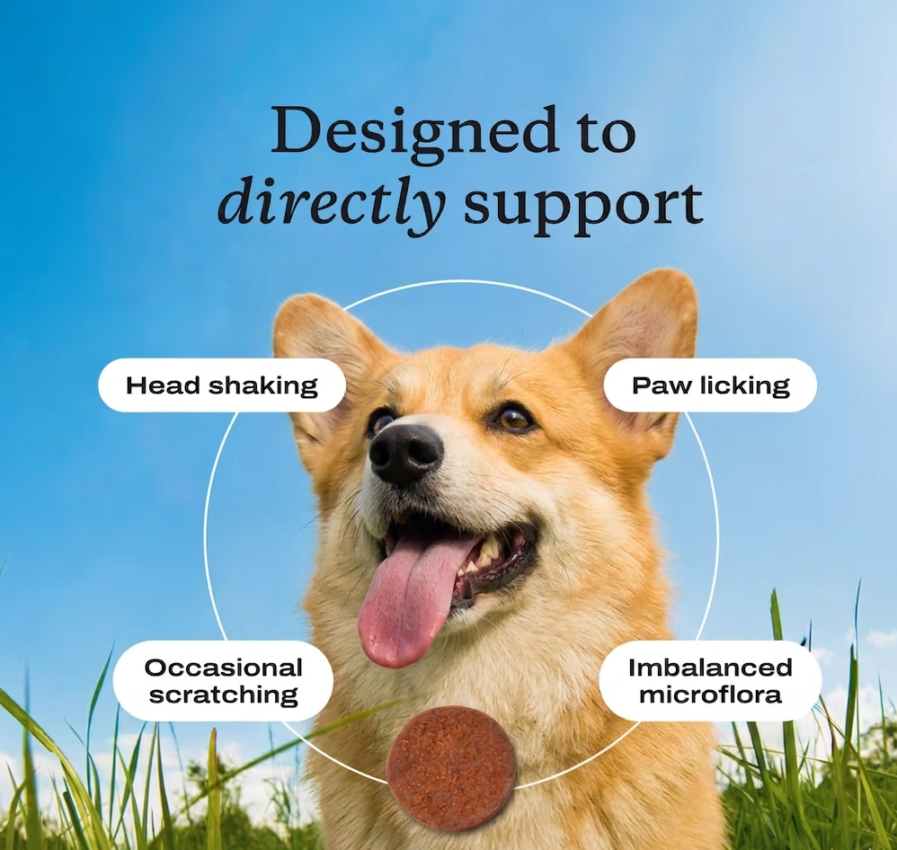 Happy Paws. Probiotics for Dogs – Soft Chews for Gut Health