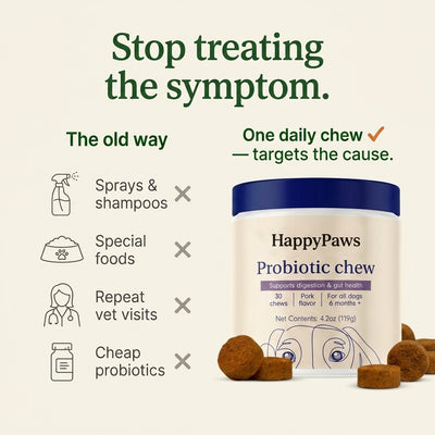 Happy Paws Probiotics for Dogs – Soft Chews for Gut Health