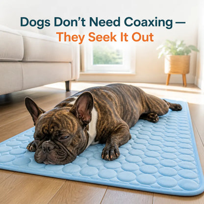 HappyPaws Cooling Mat