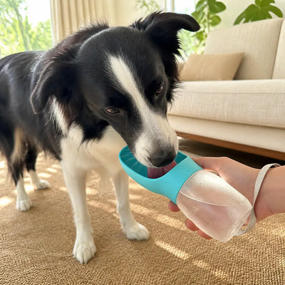 Portable Dog Water Bottle