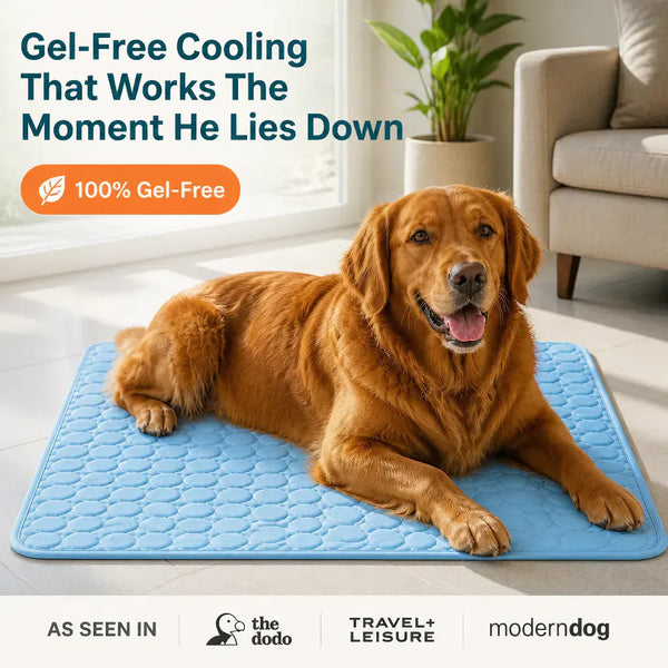 HappyPaws Gel-Free Cooling Mat