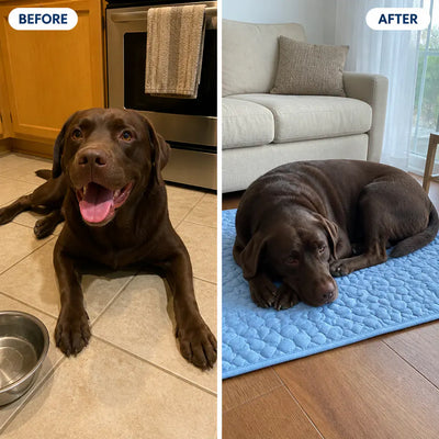 HappyPaws Gel-Free Cooling Mat