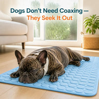 HappyPaws Gel-Free Cooling Mat